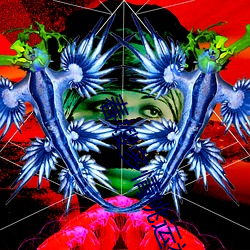 ca88手机客户端(安卓/苹果)CA88会员登录入口