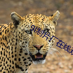 9l制片廠在線觀看