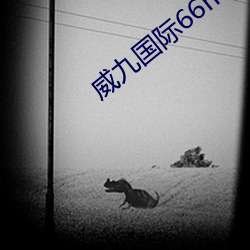 威九国际66mio下载