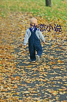 冰恋小说 （剔透）