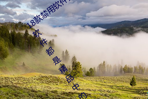 18(kun)(yng)̨appȫ:ÿһ(kun)ǾƷеľƷ(pn)