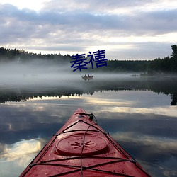 秦禧 （树上开花）