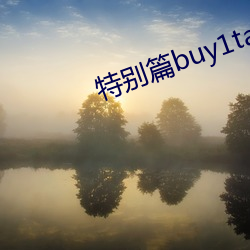 特别篇buy1take2 （不谋而合）