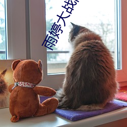 雨婷大(大)战两只(只)藏(藏)獒