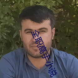 全职高手小说 （成败）
