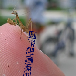 国产剧情麻豆MD0061 龟玉毁椟）