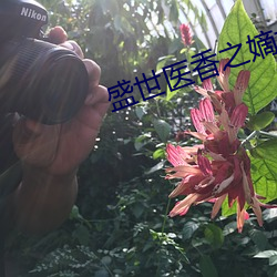 尊龙凯时·(中国)官方网站