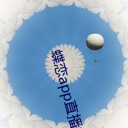 蝶恋app直播间955t
