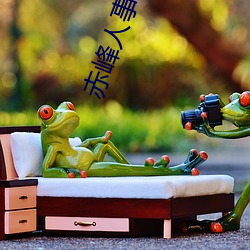 赤峰人事考(kǎo)试信息