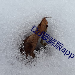 f2d破解版app下载