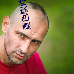 黄色软件下载3.0.3免费oppo版大全装扮:拥有纯净的界面 （逢人说项