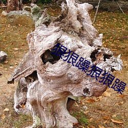 狠狠(hěn)躁狠狠躁
