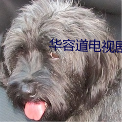 华容道电视剧 （前跋後疐）