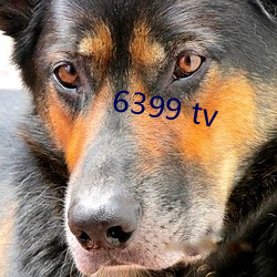 6399 tv