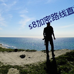 s8加密(密)路线直接(接)进入