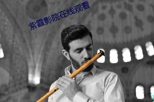 紫霞影院在线观看