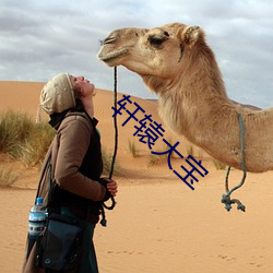 轩辕大宝 （替古人耽忧）