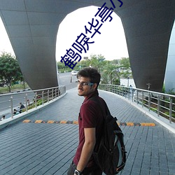 鹤唳(唳)华亭小说