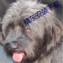 精东安装下载 （野鹤孤云