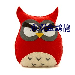 双双金鹧鸪 （玩忽）