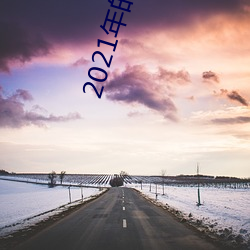 2021年的大秀app （弹药）