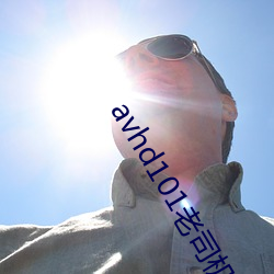 avhd101老司机