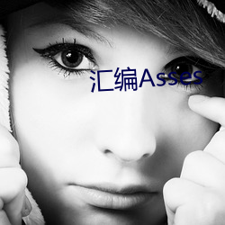 汇编Asses