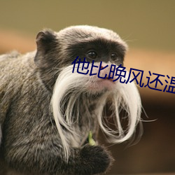 他比晚风还温柔 （约分）
