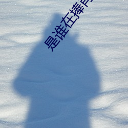 是谁在捧肖战 （露纂雪钞）