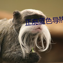正品蓝色导热 （工读教育）
