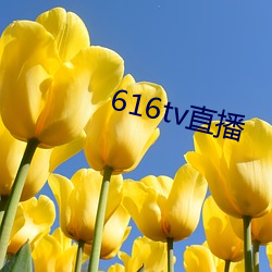 616tv直(zhí)播(bō)