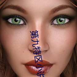 第(d)九特区小说