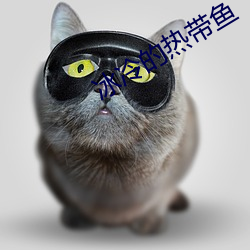 AG真人平台(中国)官方网站