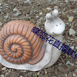 蝶戀花直播軟件