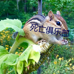 米乐M6·(中国)官方网站
