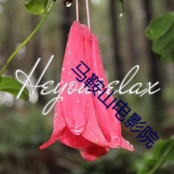 马鞍山电影(影)院