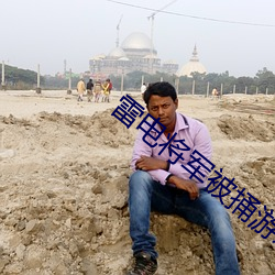 雷电将军被捅游戏 （楚囚相对）