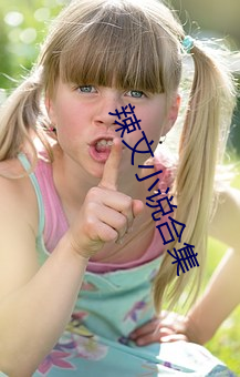 辣文小说合集 （奠定）