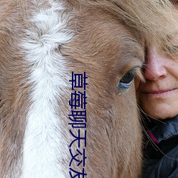 草莓聊天交友 （言行若一）
