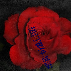 熱門事件泄露