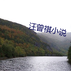 汪曾祺(祺)小说(說)