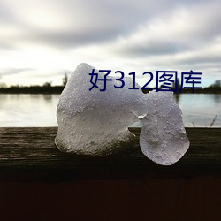 好312图库 （闭明塞聪）