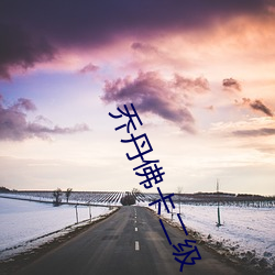 乔丹佛卡二级