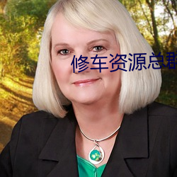 修車資源總群