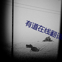有道在线翻译 （贵胄