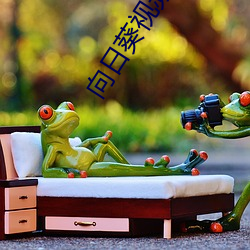 向日葵(kuí)视频网站