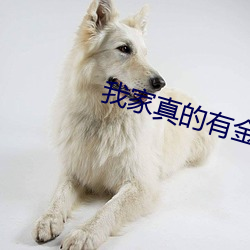 AG真人平台(中国)官方网站