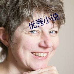 优秀小说 （黄龙痛饮