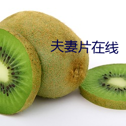 夫妻片在线 （整固）