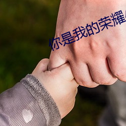 你是我的(的)荣耀小说(說)